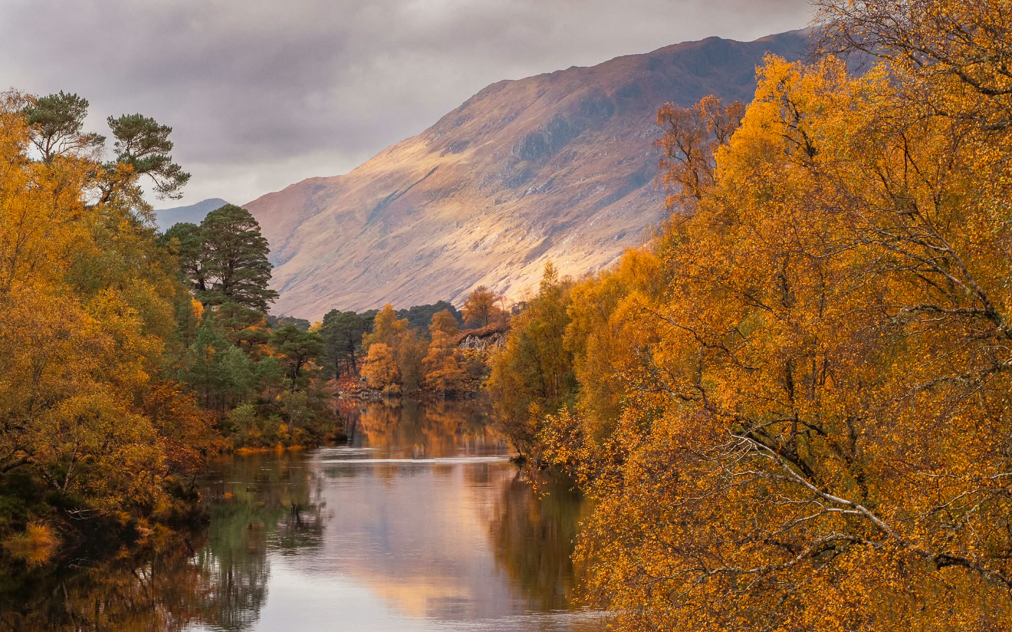 Highlands en automne